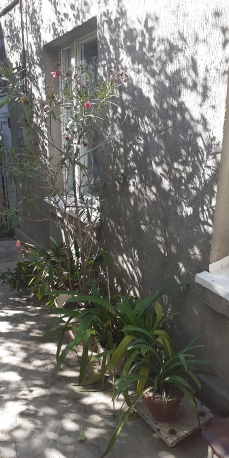 Guest House Otilia Gjoumri Kültér fotó